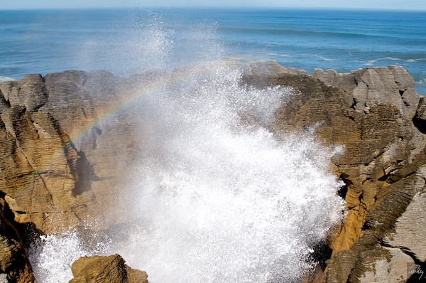 New Zealand 09 10  167